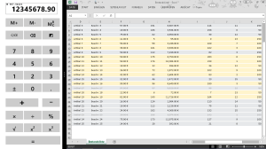 Snapped view, aside an Excel sheet